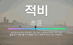 🌟적비: 공산당의 유격대. 중국에서, 국민 정부 시대에 공산당의 지도 아래 활동하던 게릴라를 비적(匪賊)이... - 표준국어대사전