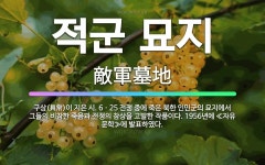 🌟적군 묘지: 구상(具常)이 지은 시. 6ㆍ25 전쟁 중에 죽은 북한 인민군의 묘지에서 그들의 비참한 죽음... - 표준국어대사전