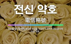 🌟전신 약호: 전보를 발신할 때에 특수한 취급을 지정하기 위하여 전보용지에 쓰는 약호. - 표준국어대사전