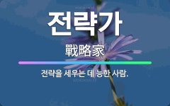 🌟전략가: 전략을 세우는 데 능한 사람. - 표준국어대사전