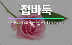 🌟접바둑: 바둑에서, 수가 낮은 사람이 미리 화점에 두 점 이상 놓고 두는 바둑. - 표준국어대사전