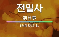 🌟전일사: 전날에 있었던 일. - 표준국어대사전