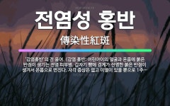 🌟전염성 홍반: ‘감염홍반’의 전 용어. (감염 홍반: 어린아이의 얼굴과 온몸에 붉은 반점이 생기는 전염 ... - 표준국어대사전