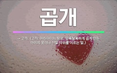 🌟곱개: → 고까. (고까: 어린아이의 말로, 알록달록하게 곱게 만든 아이의 옷이나 신발 따위를 이르는 말.) - 표준국어대사전