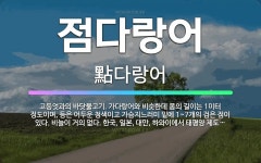 🌟점다랑어: 고등엇과의 바닷물고기. 가다랑어와 비슷한데 몸의 길이는 1미터 정도이며, 등은 어두운 청색이고... - 표준국어대사전