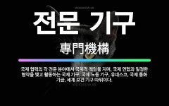 🌟전문 기구: 국제 협력의 각 전문 분야에서 국제적 책임을 지며, 국제 연합과 일정한 협약을 맺고 활동하는... - 표준국어대사전