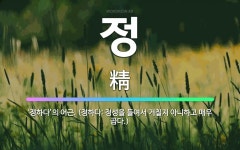 🌟정: ‘정하다’의 어근. (정하다: 정성을 들여서 거칠지 아니하고 매우 곱다.) - 표준국어대사전