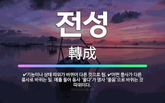 🌟전성: 기능이나 상태 따위가 바뀌어 다른 것으로 됨., 어떤 품사가 다른 품사로 바뀌는 일. 예를 들어 ... - 표준국어대사전
