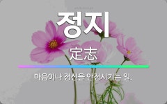 🌟정지: 마음이나 정신을 안정시키는 일. - 표준국어대사전