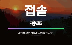 🌟접솔: 과거를 보는 사람과 그에 딸린 사람. - 표준국어대사전