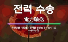 🌟전력 수송: 송전선을 이용하여 전력을 발전소에서 소비지로 수송하는 일. - 표준국어대사전