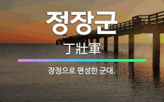 🌟정장군: 장정으로 편성한 군대. - 표준국어대사전