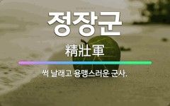 🌟정장군: 썩 날래고 용맹스러운 군사. - 표준국어대사전