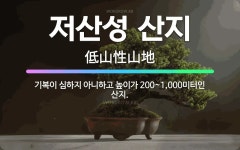 🌟저산성 산지: 기복이 심하지 아니하고 높이가 200~1,000미터인 산지. - 표준국어대사전
