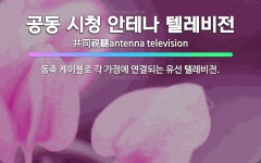 🌟공동 시청 안테나 텔레비전: 동축 케이블로 각 가정에 연결되는 유선 텔레비전. - 표준국어대사전