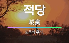 🌟적당: 도둑의 무리. - 표준국어대사전