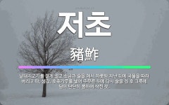 🌟저초: 날돼지고기를 잘게 썰고 소금과 술을 쳐서 하룻밤 지난 뒤에 국물을 따라 버리고 파, 생강, 후춧가... - 표준국어대사전