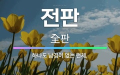 🌟전판: 하나도 남김이 없는 전체. - 표준국어대사전