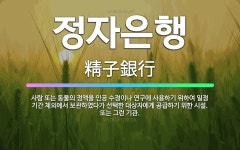 🌟정자은행: 사람 또는 동물의 정액을 인공 수정이나 연구에 사용하기 위하여 일정 기간 체외에서 보관하였다가... - 표준국어대사전