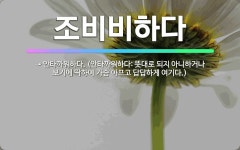 🌟조비비하다: → 안타까워하다. (안타까워하다: 뜻대로 되지 아니하거나 보기에 딱하여 가슴 아프고 답답하게... - 표준국어대사전