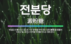 🌟전분당: 녹말을 산(酸)이나 효소로 가수 분해를 하여 얻는 당류(糖類)를 통틀어 이르는 말. 과자나 의약... - 표준국어대사전