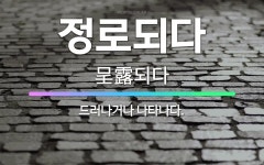 🌟정로되다: 드러나거나 나타나다. - 표준국어대사전