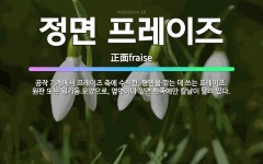 🌟정면 프레이즈: 공작 기계에서 프레이즈 축에 수직한, 평면을 깎는 데 쓰는 프레이즈. 원판 또는 원기둥 ... - 표준국어대사전