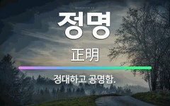 🌟정명: 정대하고 공명함. - 표준국어대사전