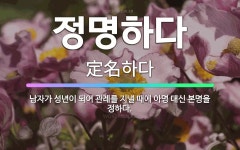 🌟정명하다: 남자가 성년이 되어 관례를 지낼 때에 아명 대신 본명을 정하다. - 표준국어대사전