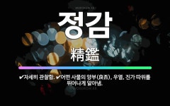 🌟정감: 자세히 관찰함., 어떤 사물의 양부(良否), 우열, 진가 따위를 뛰어나게 알아냄. - 표준국어대사전
