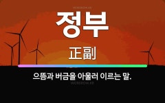 🌟정부: 으뜸과 버금을 아울러 이르는 말. - 표준국어대사전