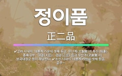 🌟정이품: 조선 시대의 18품계 가운데 셋째 등급. 문무관의 정헌대부ㆍ자헌대부, 종친(宗親)의 승헌대부, ... - 표준국어대사전