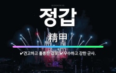 🌟정갑: 견고하고 훌륭한 갑옷., 우수하고 강한 군사. - 표준국어대사전