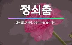 🌟정쇠춤: 진도 씻김굿에서, 무당이 추는 춤의 하나. - 표준국어대사전