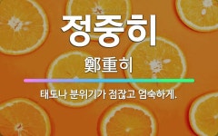 🌟정중히: 태도나 분위기가 점잖고 엄숙하게. - 표준국어대사전