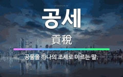 🌟공세: 공물을 하나의 조세로 이르는 말. - 표준국어대사전