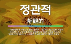 🌟정관적: 무상한 현상계 속에 있는 불변의 본체적ㆍ이념적인 것을 심안에 비추어 바라보는 것., 실천적 관여... - 표준국어대사전
