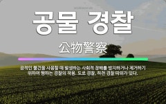 🌟공물 경찰: 공적인 물건을 사용할 때 발생하는 사회적 장해를 방지하거나 제거하기 위하여 행하는 경찰의 작... - 표준국어대사전