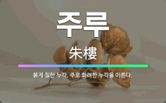 🌟주루: 붉게 칠한 누각. 주로 화려한 누각을 이른다. - 표준국어대사전