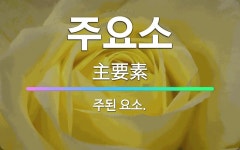 🌟주요소: 주된 요소. - 표준국어대사전