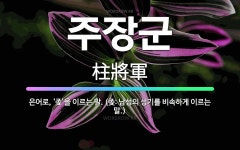 🌟주장군: 은어로, ‘좆’을 이르는 말. (좆: 남성의 성기를 비속하게 이르는 말.) - 표준국어대사전