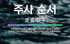 🌟주사 순서: 어떤 범위 안에서 화소(畫素)를 주사하는 순서. 텔레비전 화면은 좌측에서 우측으로 수평이 되... - 표준국어대사전
