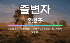 🌟줄변자: 남자용 마른신의 도리에 장식으로 가늘게 두른 천. 또는 그렇게 만든 신. - 표준국어대사전