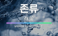 🌟존류: 남아서 머묾. 또는 남아서 머물게 함. - 표준국어대사전