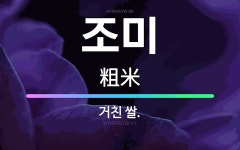 🌟조미: 거친 쌀. - 표준국어대사전