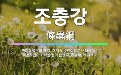 🌟조충강: 편형동물문의 한 강. 대개 암수한몸으로 변태를 하며 위창자관이 퇴화한 점이 흡충류(吸蟲類)와 다르다. - 표준국어대사전