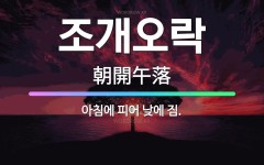 🌟조개오락: 아침에 피어 낮에 짐. - 표준국어대사전