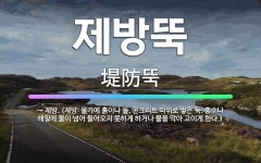 🌟제방뚝: → 제방. (제방: 물가에 흙이나 돌, 콘크리트 따위로 쌓은 둑. 홍수나 해일에 물이 넘어 들어... - 표준국어대사전