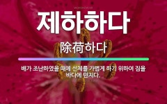 🌟제하하다: 배가 조난하였을 때에 선체를 가볍게 하기 위하여 짐을 바다에 던지다. - 표준국어대사전