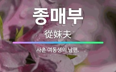 🌟종매부: 사촌 여동생의 남편. - 표준국어대사전
